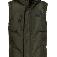 VL001 OLIVE
